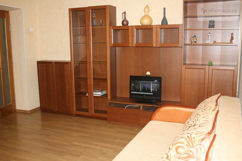 Однокомнатная квартира в верхней пышме. Жуковского 97 Новосибирск фото дома.